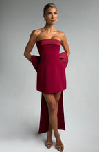 Barbara Mini Dress - Wine - Napalia