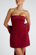 Barbara Mini Dress - Wine - Napalia