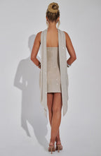 Ginni Mini Dress - Silver/Nude - Napalia