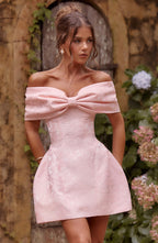 Raquel Mini Dress - Blush - Napalia